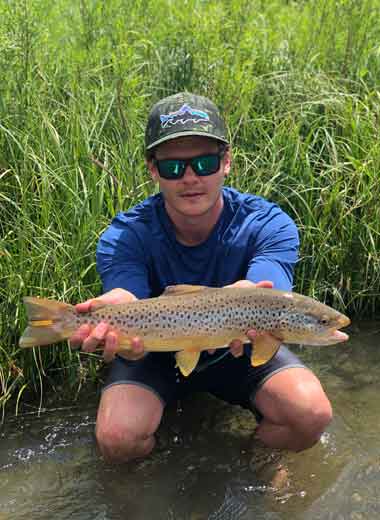 Montana brown trout