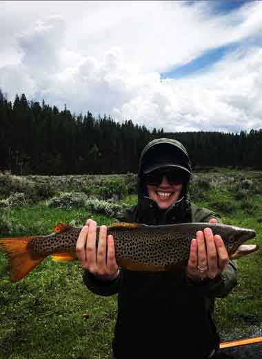 Montana brown trout