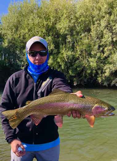 Montana rainbow trout